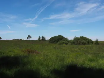 Signal de Botrange (Belgium)